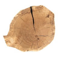 mini: Stolik nocny/kawowy Bewood Live Edge - Dąb - #6 (6)